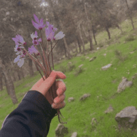 النقب 48
