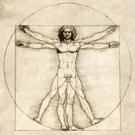 Anatomia