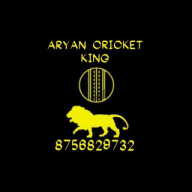 Aryan batting tips
