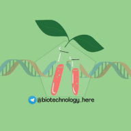 BIOTECH Notes|| JAM || GAT B || GATE || DBT RCB ||