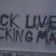 The Black Lives Revolution (BLM)