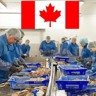 Jobs In Canada