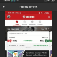 No1 King Dream11 champion
