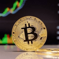 FOREX & BINARY OPTIONS TRADING SIGNALS