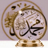 في ظِلالِ السُّنَّة