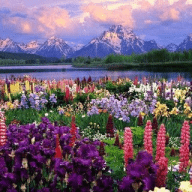 God's Creation