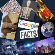 Google Facts