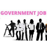 Government Job