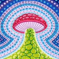Radio Hallucinogen: primetime marginal’s