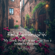 إلى الجنة