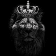 KING PREDICTION