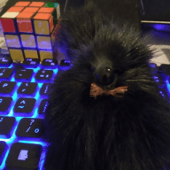 Rato de Biblioteca