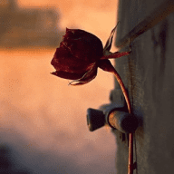 اذكار - اقتباسات - صور Azkar - Quotes - pictures