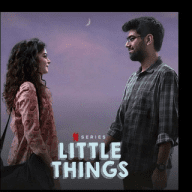 Little Things 4 Netflix