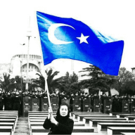 Luci'den Yazıtlar