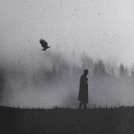 — zαleα