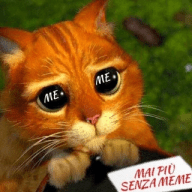 Mai più senza Meme