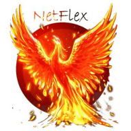 NETFLEX
