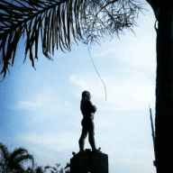 Niterói Hoje