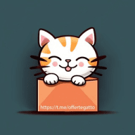 Amazon offerte gatto