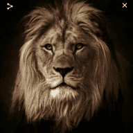 SINGH IS KING