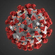 🆘️Corona Virus🆘️ - ITA🇮🇹