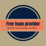 Free team provider