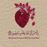 فلاش يمني برو