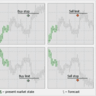 fx signal no risk free