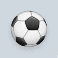 Fixed Matches