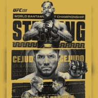 UFC 287