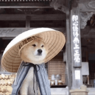 ️全网表情包 贴图包GIF贴纸斗图