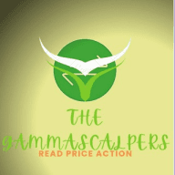 The GAMMA SCALPERS™
