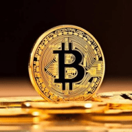 FREE FOREX SIGNALS & BINARY OPTIONS