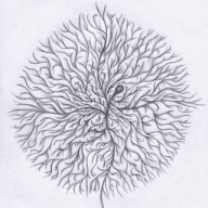 Mycelium Extraordinaire