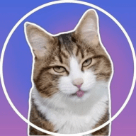 Video Stickers - Видео Стикеры - Гиф Стики