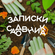 Записки садовника |Дача|Сад|Огород