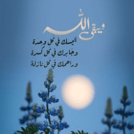قناة الهداية الدعوية