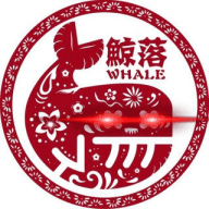 中国密码鲸公司