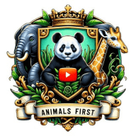 Animals First 🦒