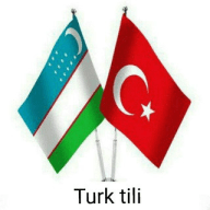 TURK TILINI O'RGANAMIZ