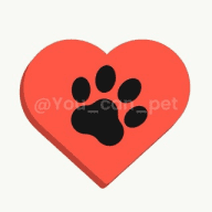 You can pet