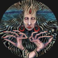 D4NiVOiD