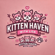 Kitten Haven with Lisa ‍⬛️