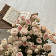 - اقتباسات عُتمة ⁸⁶ﾒ.