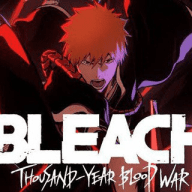 Bleach IN Hindi Dubbed