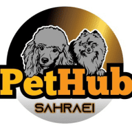 pomeranianسگ پامر پامرانین توی پودل