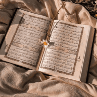 اقتباسات ، كتابات ، عبارات