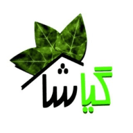 گیاشا|گل و گیاه آپارتمانی|گلدان