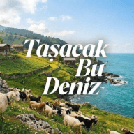 Taşacak Bu Deniz